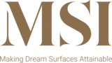 MSI Washington Metro logo