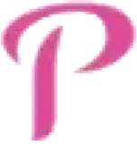 Pinkney Services Construction and Remodeling logo
