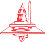 Tops of the Town, LLC logo