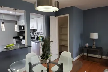 Bella's Renovation: kitchen remodeling project photo, Silver Spring, MD